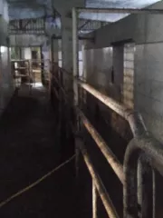Здание (50:06:0000000:4427  1 037.70 кв.м. Московская область, Шаховской район, Бухоловский с.о., дер.Бухолово)
Кормораздатчик КТ-10
Полуприцеп тракторный герметичный ПТСЕ-6
Маты
Охладитель молока
Доильный зал "Елочка" - Поилки
Навозоуборочный транспортер ТСН-160АМ
Скважина
Мойка…