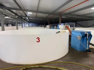 Строительство фермы по выращиванию форели по адресу д. Мещеряково Промпарк «Буинск» Буинского муниципального района, кадастровый номер 16:14:140102:762, общая площадь 1 432,0 кв.м. (в залоге АО «Татагролизинг»); Административное здание, кадастровый номер 16:14:140102:763, общая площадь 57,4 кв.м…