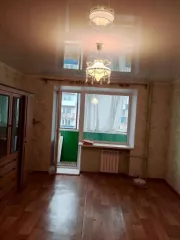 1/3 доля в квартире, кадастровый номер: 74:26:1102008:519-74