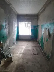 Нежилое здание, 730 кв.м., Нижегородская область, Семеновский район, расположенное по адресу: РФ, Нижегородская область, м.о. Семеновский, г.Семенов, ул.Гагарина, земельный участок 39, общей площадью 730 кв.м., с кадастровым номером: 52:12:1800321:9653, на земельном участке площадью 961 кв.м., с…