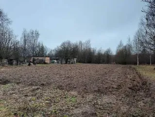 Земельный участок (кад. № 35:22:0310003:9), расположенный по адресу: РФ, Вологодская область, р-н Череповецкий, Домозеровский с/с, д. Якушево. Площадь 1800 кв.м. Категория земель: Земли населенных пунктов. Виды разрешенного использования: Для ведения личного подсобного хозяйства.