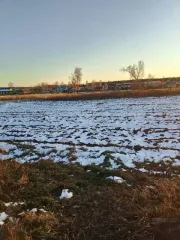 Земельный участок 2750 кв.м в Иркутской области, Братский район, село Калтук, улица Спортивная, дом 7. Назначение: земли населенных пунктов. Кадастровый номер: 38:02:130101:2062.