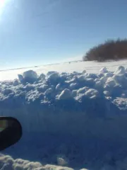 Земельный участок, 1 218 000 кв.м, Самарская область, Кошкинский район 1/21 доля земельного участка в Самарской обл. еще 1/21 доля земельного участка в Самарской обл. еще 1/21 доля в праве на земельный участок, площадь: 1 218 000 кв.м., адрес (местонахождение): Самарская область, Кошкинский район…
