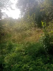 Земельный участок 600 кв.м Ивановская обл., р-н Комсомольский, с. Сорохта, д. 49. Кадастровый номер: 37:08:010510:86. Категория земель: Земли населенных пунктов. Виды разрешенного использования: Под объекты связи, радиовещания, телевидения и информатики. Запись о регистрации права собственности в…