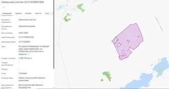Земельный участок площадью 2 366 782 кв.м. Доля в праве 408/6102. Расположен в Российской Федерации, Алтайский край, Каменский район, Рыбинский с/с, восточная часть кадастрового квартала 22:17:030603. Категория земель: сельскохозяйственного назначения. Разрешенное использование: для…