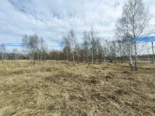 Земельный участок, площадь 168800 +/- 3600 кв.м., адрес (местонахождение): Россия обл. Тульская, р-н Ленинский, с. Алешня, примыкает к восточной части, Федоровское с/п., кадастровый (условный) номер: 71:14:040101:45, категория земель: Земли промышленности, энергетики, транспорта, связи…