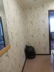 Квартира 28.2 кв.м, Саратовская область, 1/2 доля. Адрес: Россия, Саратовская область, Саратовский район, поселок Красный Октябрь, улица Нефтяников, дом 39, квартира 64. Кадастровый номер: 64:32:052434:122. Вид собственности: долевая, размер доли: ½. Жилое назначение, 3 этаж. Тип перекрытий -…