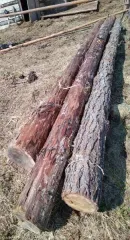 Годные остатки древесины топливный материал. Составной лот: годные остатки древесины (топливный материал). Подробный состав и местонахождение приведен в информационном сообщении. Состояние и недостатки имущества в соответствии с заключением экспертизы о безопасности имущества и его пригодности к…