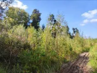 Земельные участки с кадастровыми номерами: 
50:11:0050609:7250; Площадь уточненная 3 828 кв. м
50:11:0050609:7252; Площадь уточненная 2 383 кв. м
50:11:0050609:7248; Площадь уточненная 3 629 кв. м
50:11:0050609:7253; Площадь уточненная 3 175 кв. м
50:11:0050609:7247; Площадь уточненная 84 кв…