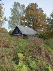 2/3 доли дома, 34 кв.м, и 2/3 доли земельного участка, 3300 кв.м, Брянская область, Мглинский район. Доля в праве 2/3 на земельный участок. Площадь: 3300 кв.м. Адрес: Российская Федерация, Брянская область, муниципальный район Мглинский, сельское поселение Краснокосаровское, деревня Слобода, улица…