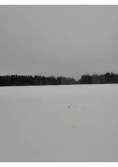 18/18 долей земельного участка, 3 418 033 кв.м, Курганская область 1/18 доля земельного участка в Курганской обл. еще 1/18 доля земельного участка в Курганской обл. еще 1/18 доля в праве на Земельный участок, площадь: 3 418 033кв.м., кадастровый номер: 45:18:000000:333, адрес (местонахождение)…