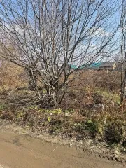 Земельный участок площадью 848 кв.м. Кадастровый номер: 25:27:050101:2008. Адрес: Приморский край, Артемовский городской округ, с. Кролевцы, Украинская ул., в районе д.10. Имущество находится в залоге у ПАО Сбербанк. Для ознакомления с описанием, составом и характеристиками продаваемого имущества…