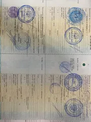Автобус для перевозки детей ПАЗ 32053-70, идентификационный номер Х1М3205СХ0003912, год изготовления 2012, категория D, модель номер двигателя 523400 С1005597, кузов № Х1М3205СХС0003912, цвет кузова желтый, мощность двигателя 124 л.с., рабочий объем двигателя 4670, тип двигателя бензиновый…