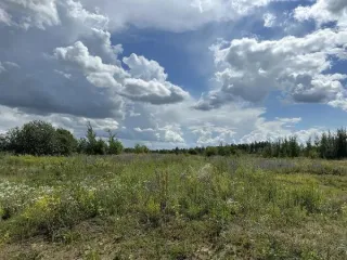 Земельный участок 20000 кв.м, площадь земельного участка: 20000, Кадастровый номер земельного участка: 50:39:0080105:1077, Основной вид разрешенного использования: 1.2