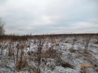 Земельный участок с кадастровым номером 47:07:1039005:780 общей площадью 3 213 кв.м расположен по адресу: Ленинградская область, Всеволожский муниципальный район, Всеволожское городское поселение, г.Всеволожск