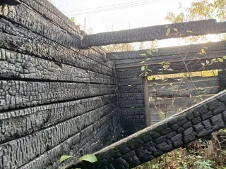 1/3 доля земельного участка площадью 2559 кв.м. Адрес: Российская Федерация, Красноярский край, Иланский район, сельское поселение Новогородский сельсовет, село Новогородка, улица Молодежная, дом 8, квартира 2. Кадастровый номер: 24:15:1901002:473. Вид собственности: долевая (1/3).