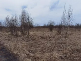 Земельный участок с кадастровым номером 42:24:0301008:596, с реестровым номером 853561, площадью 20 631 кв.м, расположенный по адресу: Кемеровская область - Кузбасс, город Кемерово, Кировский район. Категория земель: земли населенных пунктов. Разрешенное использование: код 1.15 «хранение и…