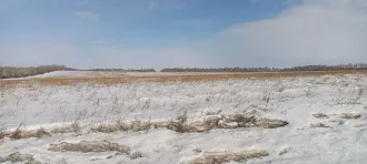 Земельный участок кадастровый номер 24:25:0401004:62 общей площадью 7200 м2 категории земель сельскохозяйственного назначения с разрешенным использованием для ведения личного подсобного хозяйства по адресу местоположение установлено относительно ориентира расположенного в границах участка ориентир…