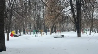 Квартира 12.7 кв.м., 2/5 доли, Ульяновская область, площадь 12.7 кв.м., назначение: Жилое, этаж: 3, адрес (местонахождение): Россия, Ульяновская область, г. Ульяновск, проезд Заводской, дом 26, квартира 135, кадастровый (условный) номер: 73:24:020301:5148, вид собственности: долевая, размер доли…