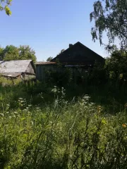 Жилой дом, площадь 46.5 кв.м., кадастровый номер 32:03:0050601:100 и 
Земельный участок, кадастровый номер: 32:03:0050601:34, площадь 3200 кв.м., назначение: ЗЕМЛИ НАСЕЛЕННЫХ ПУНКТОВ, Находится в долевой собственности, размер доли: 1/1
Адрес: Россия, 243368, Брянская обл, Выгоничский р-н, , п…