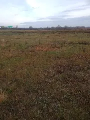 Земельный участок 2941 м², Республика Башкортостан, Чекмагушевский район, село Староихсаново, улица Ярыш, кадастровый номер 02:51:100701:522, площадь 2941 м², обеспечен залогом в пользу ПАО Сбербанк. Ознакомление с имуществом в период приема заявок производится по заявке, направляемой на…