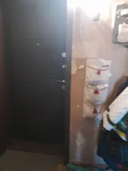 Квартира, общая площадь 45.1 кв.м., расположенная по адресу: 630028, Новосибирская обл., г. Новосибирск, ул. Нижегородская, дом 223, кв. 8, кадастровый номер 54:35:074295:129. Ознакомление с информацией об имуществе проводится по предварительному согласованию 89254601332 (писать в телеграм с 10-19…
