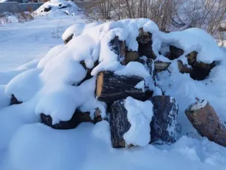 Древесина породы сосна в виде чурок длинной по 40 см., в количестве 80 шт., объемом 1,176 куб.м. Древесина породы сосна в виде чурок длинной по 40 см., в количестве 80 шт., объемом 1,176 куб.м. 
Количество и породный состав древесины: Древесина породы сосна в виде чурок длинной по 40 см., в…