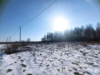 земельный участок, предназначенный для передачи гражданам для ведения личного подсобного хозяйства (приусадебный земельный участок) в аренду сроком на 20 лет из земель населенных пунктов, площадью 1431 кв. м., расположенный по адресу: Владимирская область, Камешковский район, д. Нестерково…
