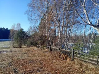 Помещение 35.6 м², Иркутская область, Зиминский район, с.Зулумай, ул.Лесная, пом.1А-2. Кадастровый номер 38:05:030603:57.