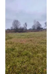 Земельный участок, площадь 1000+/-11 кв.м., адрес (местонахождение): Российская Федерация, Республика Марий Эл, м.о. Килемарский, д Большое Кибеево, ул Дружбы, з/у 49а, кадастровый (условный) номер: 12:03:1701001:204. Все риски, связанные с не ознакомлением с имуществом и отсутствием полной…