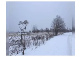 Земельный участок, площадью 600 кв.м, с кадастровым номером 76:04:033901:2415, расположенный по адресу: Россия, Ярославская область, Гаврилов-Ямский р-н, с/п Заячье-Холмский, с Унимерь. Отсутствуют постройки. Подъезд к участку возможен на автомобиле по грунтовой дороге. На момент публикации…