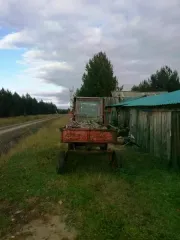 Колесный трактор Т-16 ВСШ16.38.102 К10.1, двигатель № 1002015, 1979 г.в, комплектность и состояние не проверялась, имущество обращено в доход государства (документы отсутствуют). Находится в Кежемском районе. Назначение: колесный трактор. Пробег: 0. Марка: Т-16 ВСШ16.38.102 К10.1. Год выпуска…