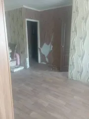 Квартира, 44,1 кв.м, Пермский край, 1 комн. Жилое помещение, площадь: 44,1 кв.м., адрес (местонахождение): Российская Федерация, край Пермский, муниципальный округ Александровский, поселок Карьер Известняк, улица Гоголя, дом 6, квартира 26, кадастровый номер: 59:02:0601001:1991
