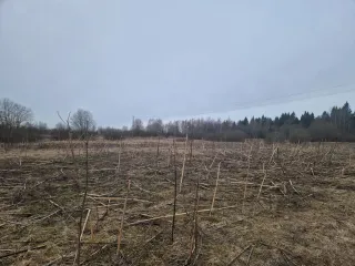 Земельный участок с кадастровым номером 69:10:0000037:1691, площадью 1 077 кв.м., местоположение: Тверская область, Калининский район, Верхневолжское с/п, с.Петровское.