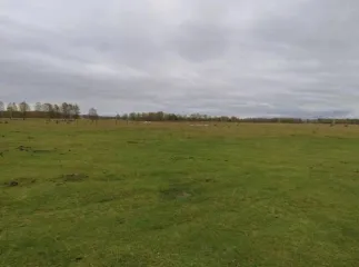 Земельный участок с кадастровым номером: 03:20:110147:173, площадью: 1500 +/- 14 м. кв., расположенный по адресу: Российская Федерация, Республика Бурятия, муниципальный район Тункинский, сельское поселение Кыренское, с. Кырен, ул. Жукова.