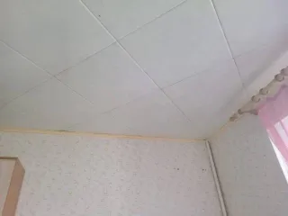 1/4 доли в квартире, 49 кв. м, Курская область, Железногорск. 1/4 доля квартиры в Курской обл. еще 1/4 доля квартиры в Курской обл. еще 1/4 доли в праве на Квартиру, расположенную по адресу: Курская область, г. Железногорск, ул. Молодёжная, д. 3/5, кв. 51. Кадастровый номер: 46:30:000014:3806…