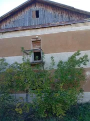 Нежилое здание интерната общей площадью 686.4 кв.м и земельный участок площадью 1750 кв.м. Кадастровый номер здания: 22:14:060101:976, кадастровый номер земельного участка: 22:14:060101:189. Расположены по адресу: Российская Федерация, Алтайский край, Змеиногорский район, с. Карамышево, ул…