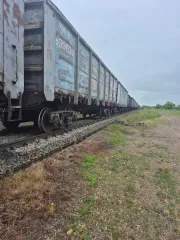 Незавершенное дорожное сооружение протяженностью 2821 м. Кадастровый номер 79:04:0902001:54, степень готовности 80%. Местонахождение: Еврейская автономная область, Биробиджанский район, село Бирофельд, от железнодорожной станции Бирофельд-1 до погрузочно-складского участка. Регистрационный номер…