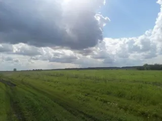 Право долгосрочной аренды земельного участка площадью 1 943 853 кв.м, кадастровый номер 02:47:121101:10, адрес: Местоположение установлено относительно ориентира, расположенного в границах участка. Почтовый адрес ориентира: Республика Башкортостан, р-н. Уфимский, с/с. Николаевский. Имеются…