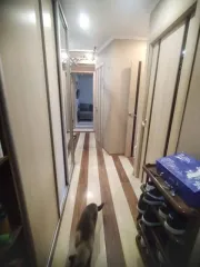 Квартира 40,5 кв.м, 4 этаж, Сургут. 1/4 доля квартиры в Сургуте. 2-комнатная квартира, площадь 40,5 кв.м., назначение: Жилое, этаж: 4, адрес: Россия, АО Ханты-Мансийский Автономный округ - Югра, г Сургут, проезд Дружбы, дом 13, квартира 14, кадастровый номер: 86:10:0101030:2772