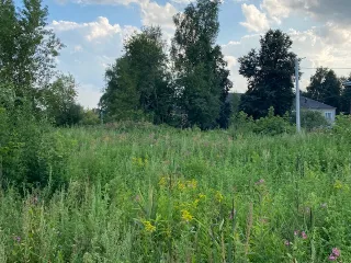 Земельный участок 1500 м², Владимирская область, Петушинский район, г. Петушки, ул. Кирова. Кадастровый номер 33:13:010211:717, площадь 1 500 +/-13 м. кв. Местоположение установлено относительно ориентира, расположенного в границах участка. Почтовый адрес ориентира: Владимирская обл, район…