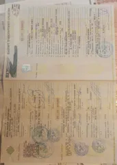 ГАЗель NEXT 2017 года выпуска, VIN X8B278872H0016101.