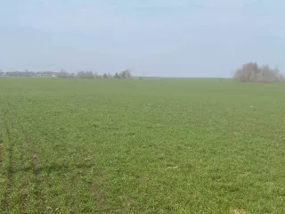 Земельный участок - 100 000 +/- 2 767 кв. м, кадастровый номер 33:05:024102:469, земли сельскохозяйственного назначения - для сельскохозяйственного производства, 
Ограничения и обременения: постановление Губернатора Владимирской области от 12.04.2010 № 433 «Об утверждении границ зон охраны…