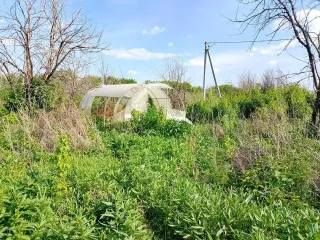 Конечно, пришлите текст объявления, и я его оптимизирую согласно вашим требованиям.