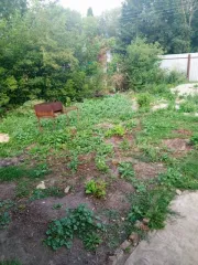 Дом 48,2 м² и участок 5000 м² в Тульской области. Земельный участок, общей площадью 5000 кв.м., кадастровый номер: 71:08:060303:263. Жилой дом, площадью 48,2 кв.м., кадастровый номер: 71:08:060303:968, расположенные по адресу: Тульская область, Ефремовский район, сельское поселение Лобановское…