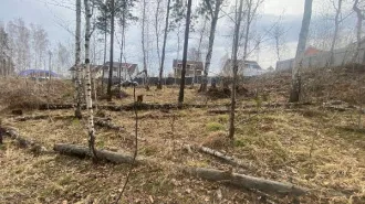 Право аренды земельного участка из земель населённых пунктов площадью 1000 кв.м с кадастровым номером 38:06:130601:2186, адрес: Российская Федерация, Иркутская область, Иркутский район, сельское поселение Мамонское, село Мамоны, микрорайон Западный, переулок Ольховый, земельный участок 41А. Вид…