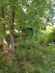 1/4 доля дома и 1/4 доля земельного участка в Смоленской обл. еще ¼ жилого помещения  кадастровый номер 67:15:3070101:40  и ¼ земельного участка  кадастровый номер 67:15:3070101:17 , расположенные по адресу: 216556, Смоленская область, Рославльский р н., с/п. Пригорьевское, д. Заречье