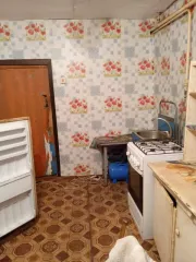 1/3 доли в общей долевой собственности на жилой дом площадью 70,9 кв.м с кадастровым номером 48:16:0510203:286 и 1/3 доли в праве общей долевой собственности на земельный участок площадью 1023+/- 11 кв.м с кадастровым номером 48:16:0510203:67. Вид разрешенного использования: для ведения личного…