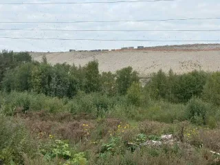 Земельный участок, площадь 26 406 кв. м, Ленинградская область, 26406+/-114 кв.м, с кадастровым номером 47:23:0439001:399, расположенный по адресу: Ленинградская область, Гатчинский район, АОЗТ «Новый Свет», категория земель: земли сельскохозяйственного назначения, виды разрешенного использования…