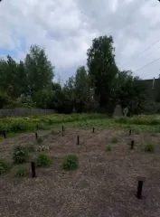 Земельный участок в Тюмени, 828+/-10 кв.м, Тюменская область, городской округ город Тюмень, город Тюмень, территория сосн. Лаванда, улица N 17, земельный участок 774а, вид разрешенного использования: Ведение садоводства; кадастровый номер: 72:17:1707006:12563; площадь: 828 +/- 10.